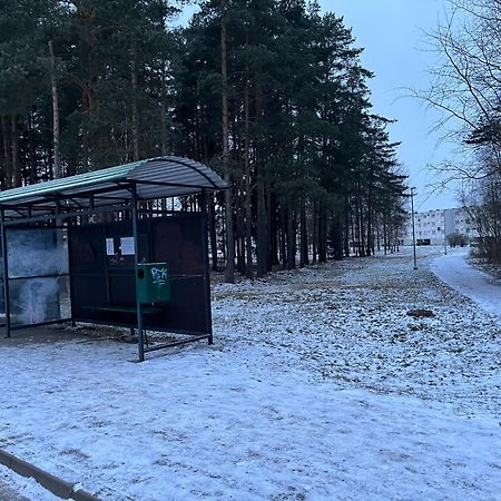 Cosy Appartment. Puessi Town Pyussi Екстериор снимка