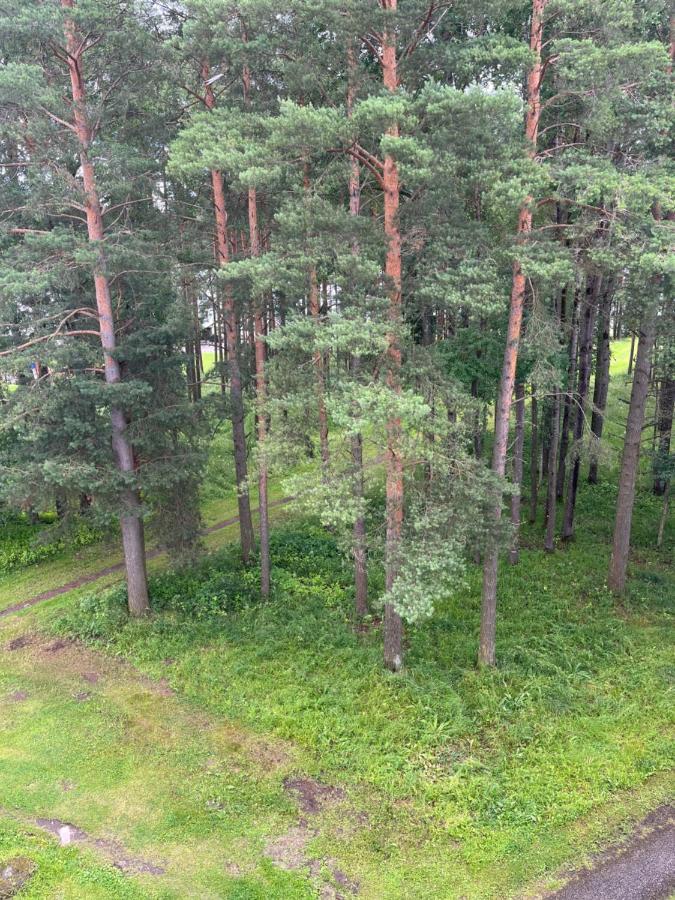 Cosy Appartment. Puessi Town Pyussi Екстериор снимка